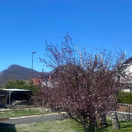 Apartment Cosy 40 M2, Climatise, Parking Gratuit *