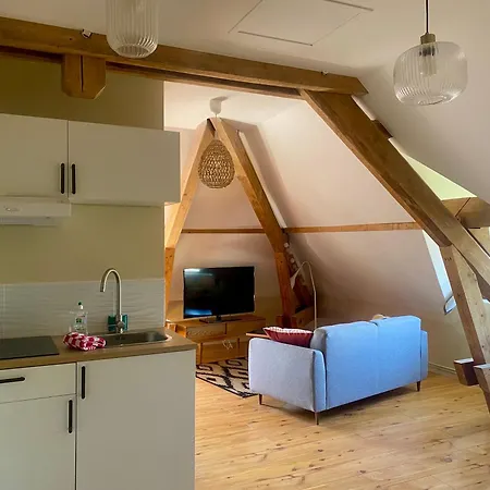 Cosy 40 M2, Climatise, Parking Gratuit * Annecy