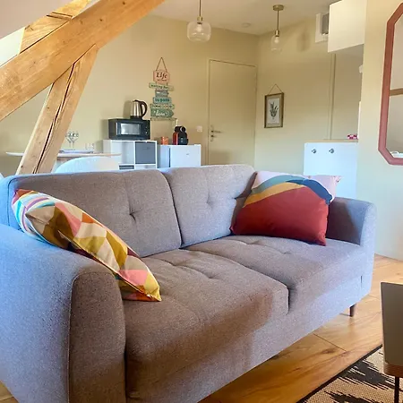Cosy 40 M2, Climatise, Parking Gratuit Apartment