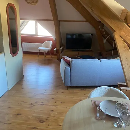 Cosy 40 M2, Climatise, Parking Gratuit Annecy